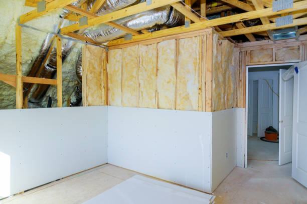Best Cellulose Insulation in Belmont, WI